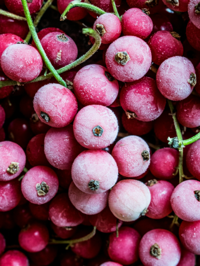 What are Frozen Foods?